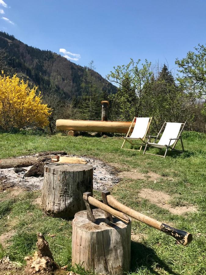 Charmante Gaestewohnung In Altem Bauernhaus In Alpiner Alleinlage Stanz Im Murztal Dış mekan fotoğraf