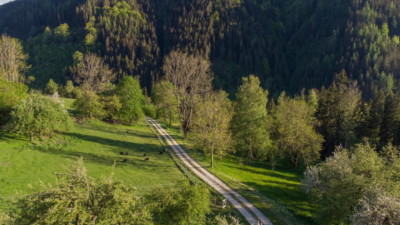 Charmante Gaestewohnung In Altem Bauernhaus In Alpiner Alleinlage Stanz Im Murztal Dış mekan fotoğraf