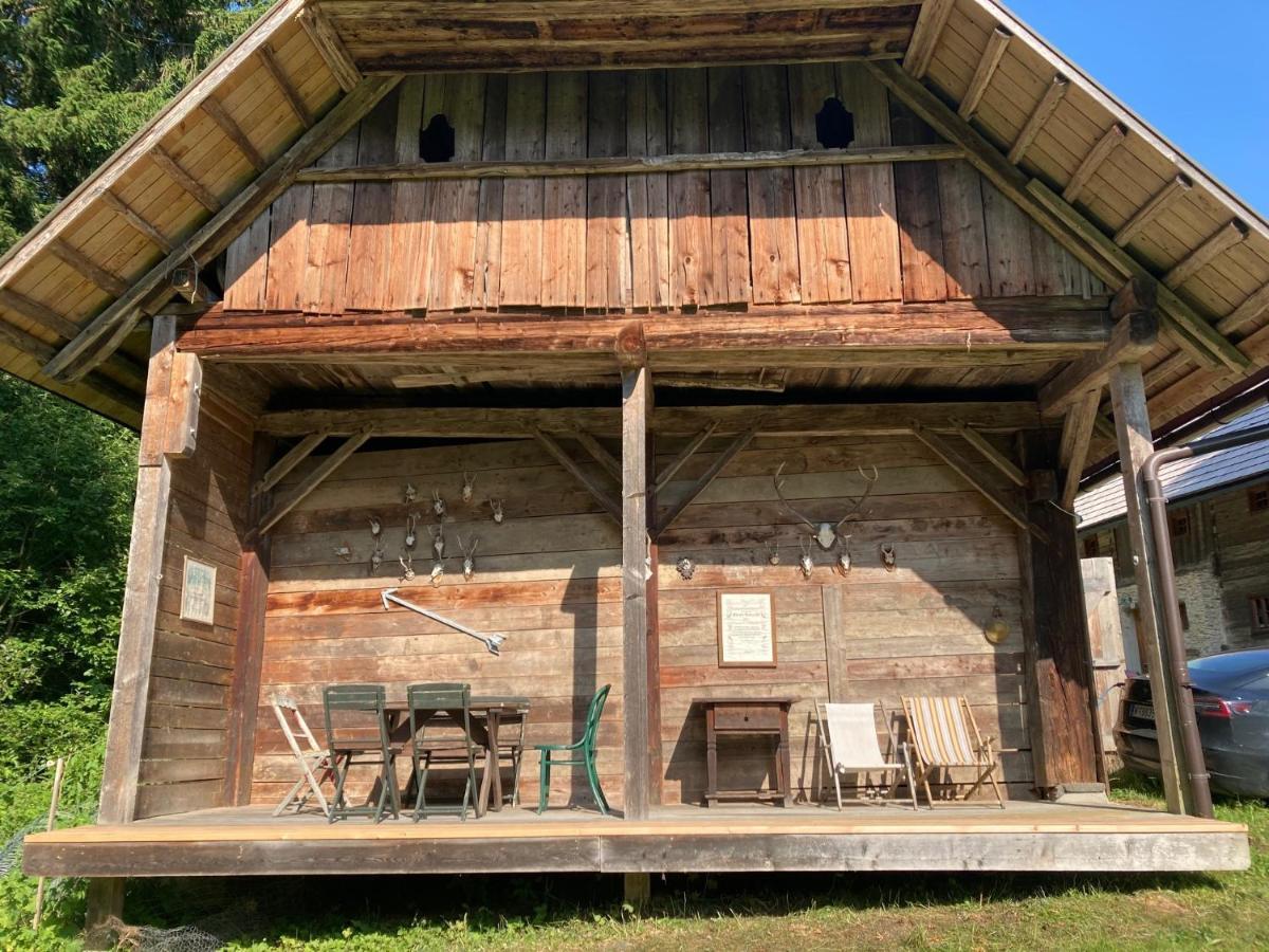 Charmante Gaestewohnung In Altem Bauernhaus In Alpiner Alleinlage Stanz Im Murztal Dış mekan fotoğraf