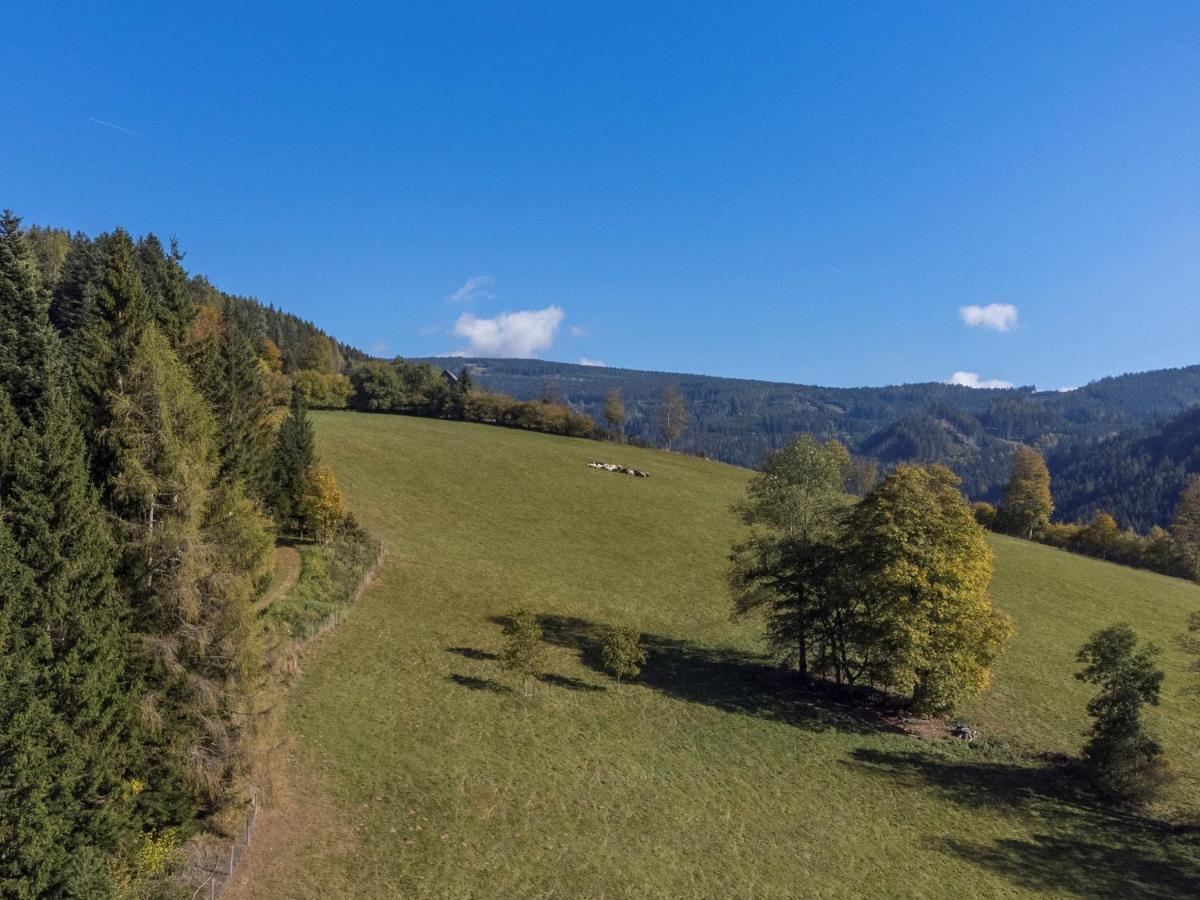 Charmante Gaestewohnung In Altem Bauernhaus In Alpiner Alleinlage Stanz Im Murztal Dış mekan fotoğraf